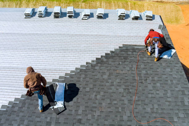 Roof Gutter Cleaning in Clarkesville, GA