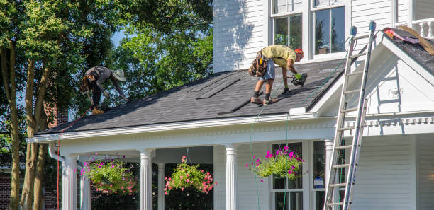 Roof Gutter Cleaning in Clarkesville, GA