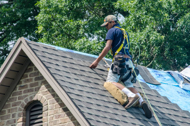 Best Roof Gutter Cleaning  in Clarkesville, GA